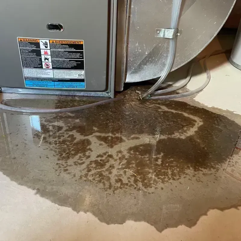 Appliance Leak Cleanup in Frenchburg, KY